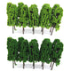 Dark Green Light Gr