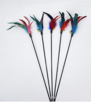 B style 5pcs