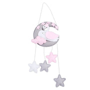 Moon swan