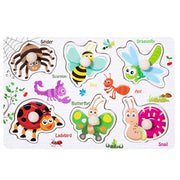 Insect Puzzle