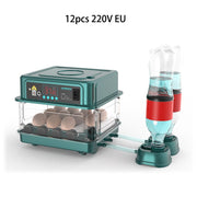12 220V EU
