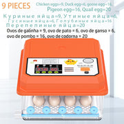 9-Incubation Tools