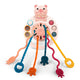 Pink Pig
